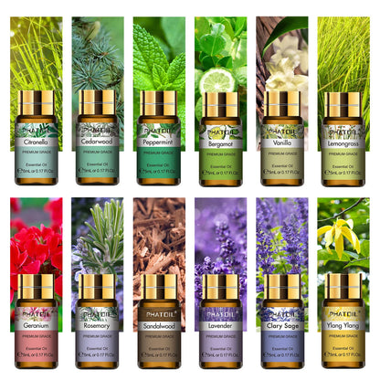 15pcs Essential Oils Set